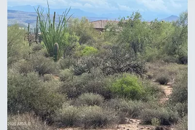 172 N Street Street #-, Rio Verde, AZ 85263 - Photo 10