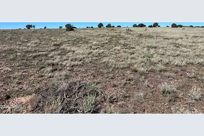 0 Dozer -- #145, Ash Fork, AZ 86320 - Photo 1