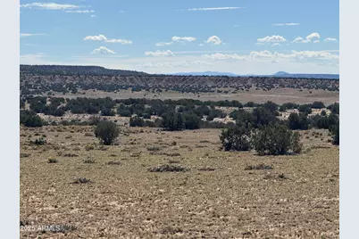 Lot 746 Woodland Valley Ranch -- #746, Saint Johns, AZ 85936 - Photo 2