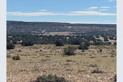 Lot 746 Woodland Valley Ranch -- #746, Saint Johns, AZ 85936 - Photo 1