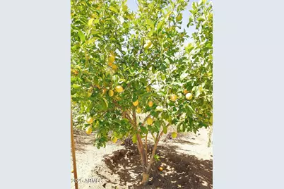 29107 N 154th Street, Scottsdale, AZ 85262 - Photo 52