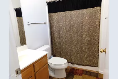 110 S Palo Verde Drive, Apache Junction, AZ 85120 - Photo 16