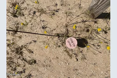 0 W Lone Cactus Drive #-, Surprise, AZ 85387 - Photo 4