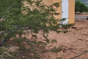 399 S Ewing Trail, Tonto Basin, AZ 85553 - Photo 50