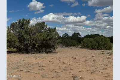 Lot 131 Elk Valley Ranch -- #131, Saint Johns, AZ 85936 - Photo 4