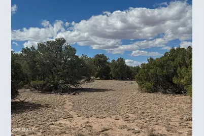 Lot 131 Elk Valley Ranch -- #131, Saint Johns, AZ 85936 - Photo 1