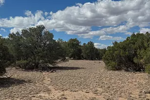 Lot 131 Elk Valley Ranch --, Saint Johns, AZ 85936 - Photo 1