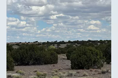 Lot 131 Elk Valley Ranch -- #131, Saint Johns, AZ 85936 - Photo 10
