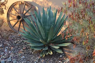 50602 N US Hwy 60 Ave, Wickenburg, AZ 85390 - Photo 148