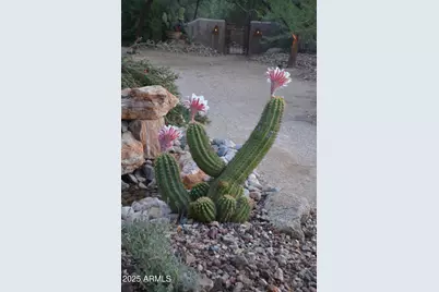 50602 N US Hwy 60 Avenue, Wickenburg, AZ 85390 - Photo 148
