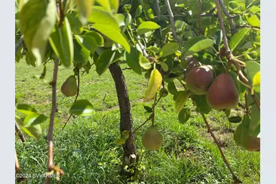 463 E Cocktail Trail, Camp Verde, AZ 86322 - Photo 60