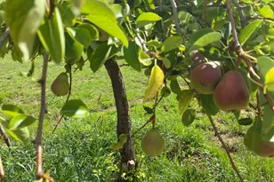463 E Cocktail Trl, Camp Verde, AZ 86322 - Photo 60