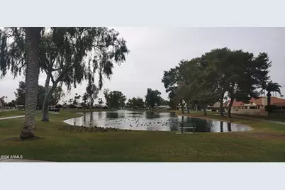 26414 S Lakemont Drive, Sun Lakes, AZ 85248 - Photo 52