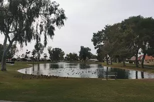 26414 S Lakemont Dr, Sun Lakes, AZ 85248 - Photo 52