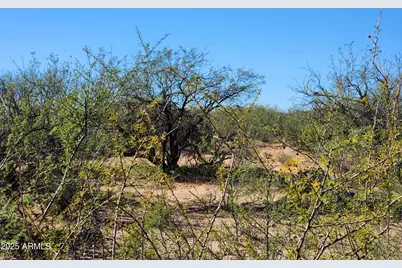 Lot S Calle Molinar 350-350 -- #-, Sierra Vista, AZ 85650 - Photo 1