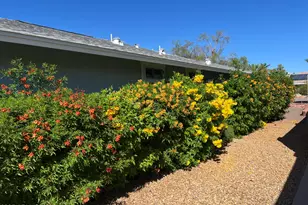 10902 W Brookside Dr, Sun City, AZ 85351 - Photo 42