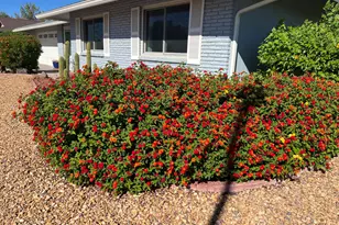 10902 W Brookside Dr, Sun City, AZ 85351 - Photo 40