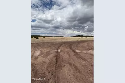 46 County Rd N8339 -- #-, Concho, AZ 85924 - Photo 10