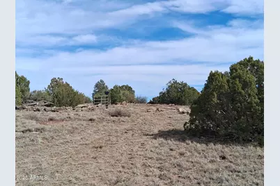 48 County Rd N8339 -- #-, Concho, AZ 85924 - Photo 8