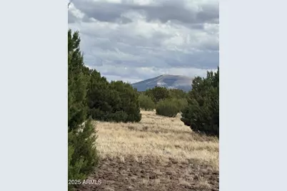 48 County Rd N8339 -- #-, Concho, AZ 85924 - Photo 6