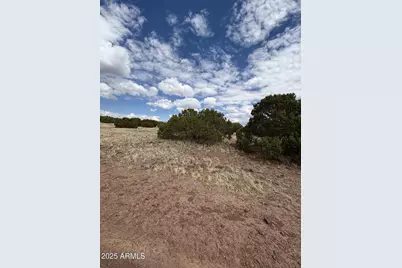 48 County Rd N8339 -- #-, Concho, AZ 85924 - Photo 12