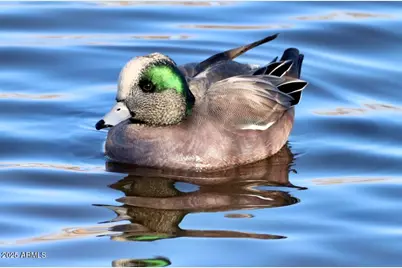 912 W Madera Lane, Payson, AZ 85541 - Photo 60