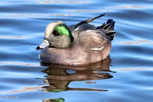 912 W Madera Ln, Payson, AZ 85541 - Photo 60