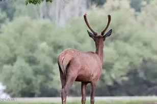 912 W Madera Ln, Payson, AZ 85541 - Photo 62