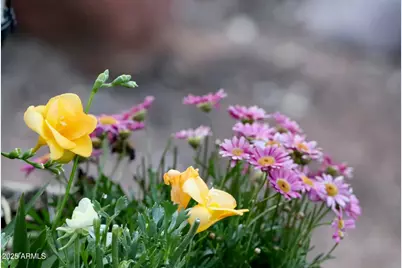 912 W Madera Lane, Payson, AZ 85541 - Photo 56