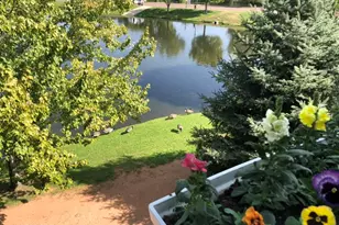 912 W Madera Ln, Payson, AZ 85541 - Photo 22