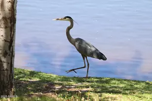 912 W Madera Ln, Payson, AZ 85541 - Photo 52