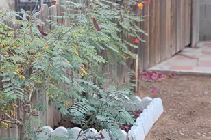 5630 N Azalia St, Casa Grande, AZ 85122 - Photo 32