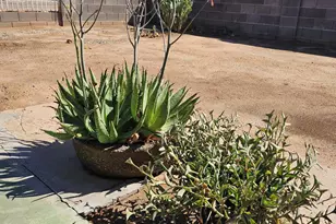 5630 N Azalia St, Casa Grande, AZ 85122 - Photo 36