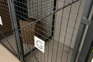 1 E Lexington Ave, Phoenix, AZ 85012 - Photo 30