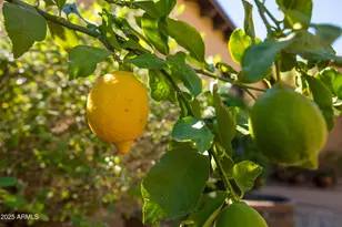 29704 N 156th St, Scottsdale, AZ 85262 - Photo 58