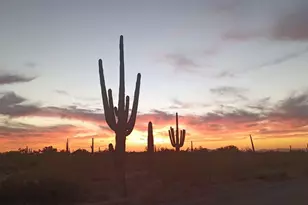 27141 E Javelina Dr, Florence, AZ 85132 - Photo 44