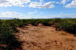 Tbd S Dirksen Draw --, Tombstone, AZ 85638 - Photo 1
