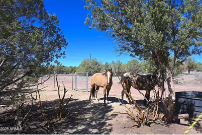 2445 N Luana Drive #807, Williams, AZ 86046 - Photo 18