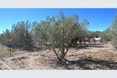 2445 N Luana Drive #807, Williams, AZ 86046 - Photo 16