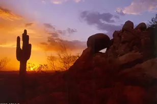 7486 E Soaring Eagle Way, Scottsdale, AZ 85266 - Photo 50