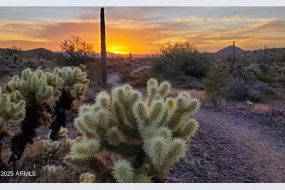 2306 W Long Shadow Trail, Phoenix, AZ 85085 - Photo 76