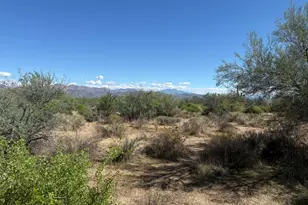 308Xx N 164th St, Scottsdale, AZ 85262 - Photo 1