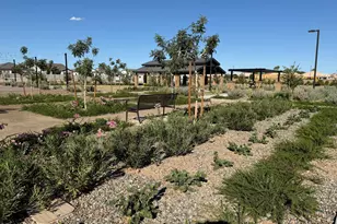 6860 S Crosscreek Dr, Chandler, AZ 85249 - Photo 10