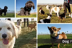 5756 N Oak Creek Dr, Eloy, AZ 85131 - Photo 12