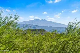 26915 N 162 St, Scottsdale, AZ 85262 - Photo 68