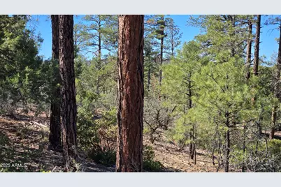 440 E Stoneridge Circle E #375, Show Low, AZ 85901 - Photo 4