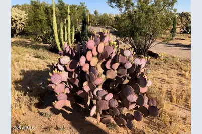 8362 N Dead Mans Gulch Road, Florence, AZ 85132 - Photo 32