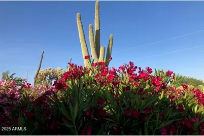 8362 N Dead Mans Gulch Road, Florence, AZ 85132 - Photo 30