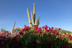 8362 N Dead Mans Gulch Rd, Florence, AZ 85132 - Photo 30