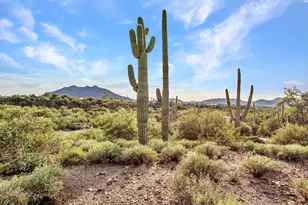 7143 E Highland Rd, Cave Creek, AZ 85331 - Photo 42